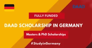 Read more about the article DAAD EPOS Scholarship – International Education Management (INEMA) – PH Ludwigsburg / Helwan University